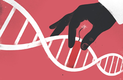 关乎利益—美国CRISPR的专利调查将如何上演