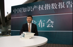 《中国知识产权指数报告2016》在京发布