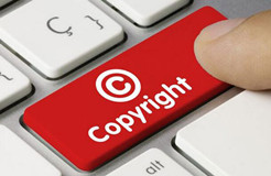 2017年度第二批重点作品版权保护预警名单
