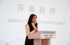 上海市浦东新区知识产权局探索以“知识产权路演”促进专利转化