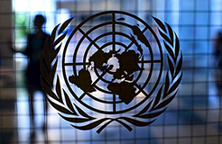 联合国：指定每年4月21日为“世界创意和创新日”