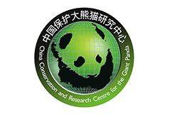 【晨报】中国大熊猫保护研究中心徽标成功申请版权；中国版奥特曼版权争议仍在发酵