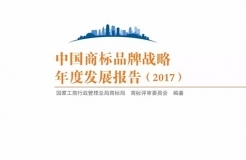 2017中国商标品牌战略年度发展报告（全文）