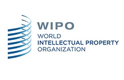 #晨报#WIPO 仲裁与调解中心成为中国国家顶级域名争议解决机构（自2019.8.1日起）