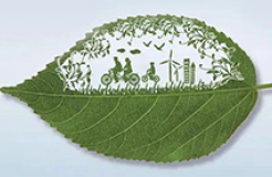《绿色低碳技术专利分类体系》全文发布！
