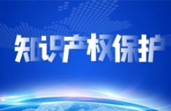 中国科协学会服务中心举办“加强知识产权保护  服务科技创新发展”专题访谈
