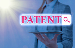 专利复审无效宣告案件优先审查网上办理系统系统操作手册