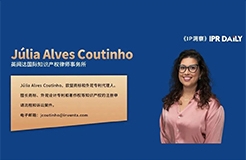 论程序经济原则对欧盟知识产权局审查决定的影响｜Júlia Alves Coutinho
