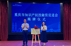 重庆市知识产权投融资促进会揭牌成立