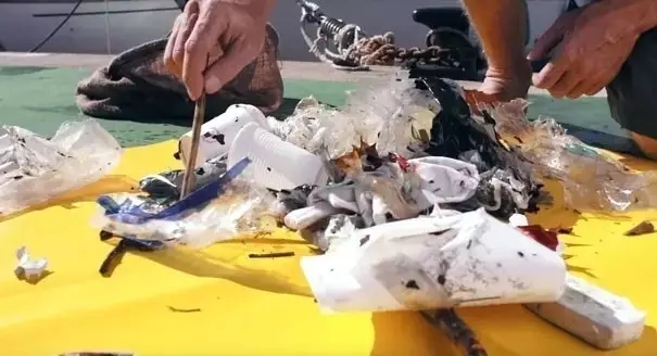 为了找回童年的海洋，这两个澳洲小伙给大海做了个垃圾桶！