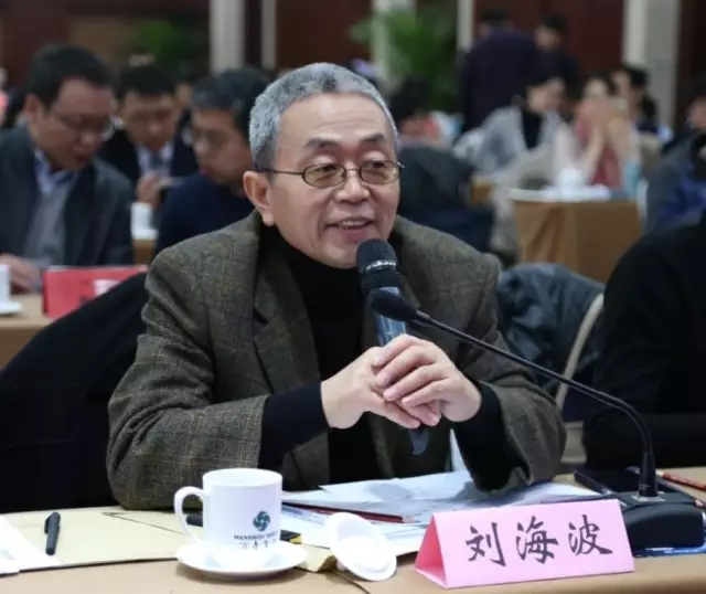 中国科学院科技战略咨询研究院研究员 刘海波先生联想集团知识产权
