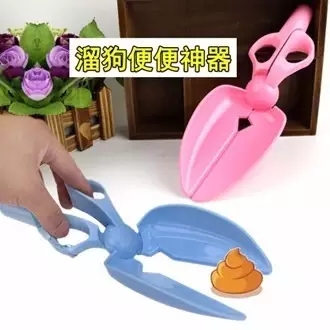 如何做一名合格的铲屎官？