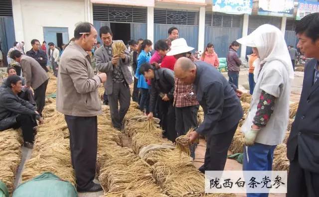 “一带一路”上值得关注的「地理标志」