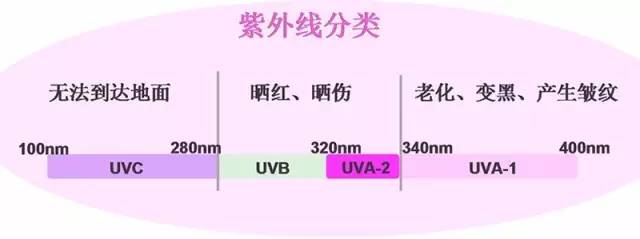 【科技情报】再不防晒就老了！