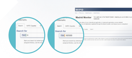 马德里商标注册的监控工具