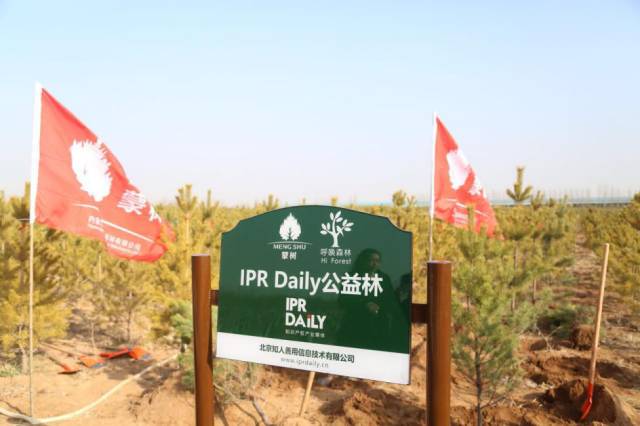 IPRdaily携手“呼唤森林”共建公益林，为国家底色填一抹新绿
