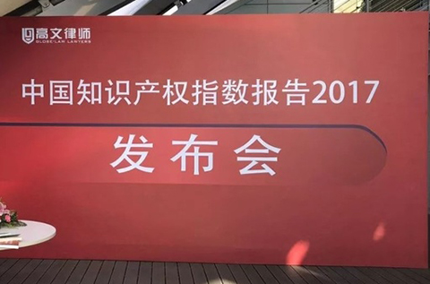 《中国知识产权指数报告2017》—31个省、自治区、直辖市排名情况