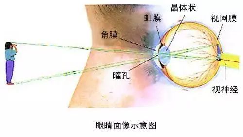 “滴了一年，最后瞎了”！一年卖7亿的神药曝惊人丑闻，延误病情最终致盲？