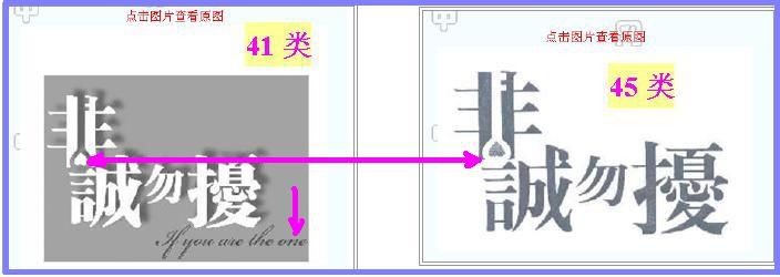 从「企业商标战略」看《非诚勿扰》案