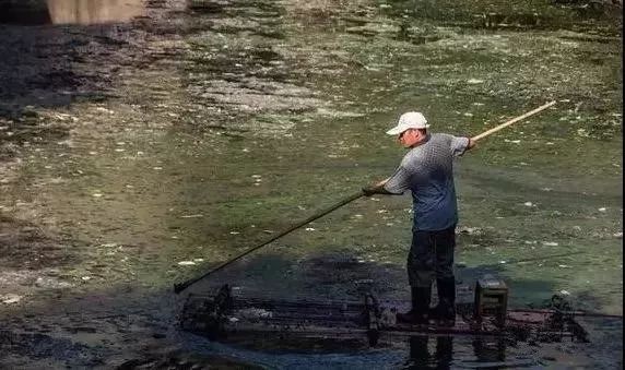 中国黑科技发明：让臭水沟变成全清水流！