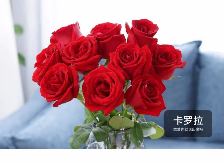 【IPRdaily特别福利】点赞送“玫瑰花”给IP女性朋友！
