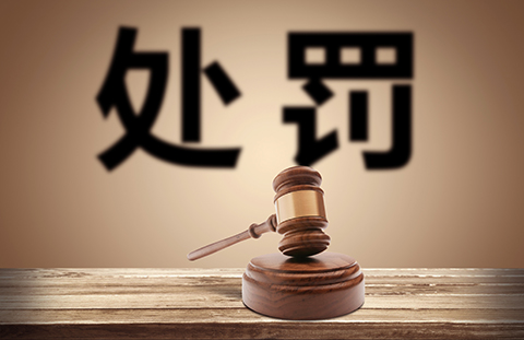 一份因侵犯「外观设计专利权」的行政处罚书（全文）！