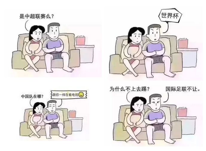 世界杯上的真球迷OR伪球迷!谈对商标法上“相关公众”的理解 世界杯上的真球迷OR伪球迷!谈对商标法上“相关公众”的理解