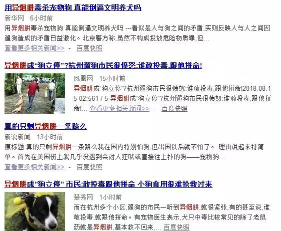 不要「异烟肼」毒狗！14种文明、安全遛狗专利可用