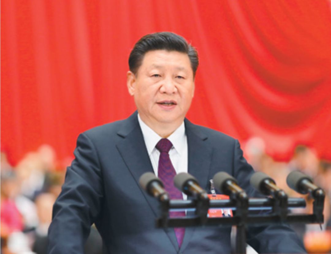 知识产权保护的春天真的来了？
