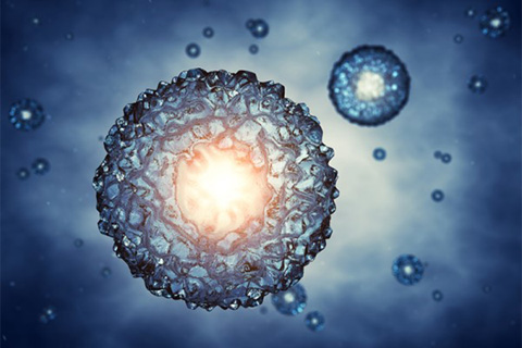 人胚胎干细胞与专利法第五条之间的关系