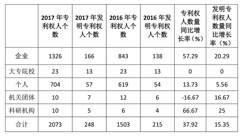 广州市白云区2017年专利数据分析报告