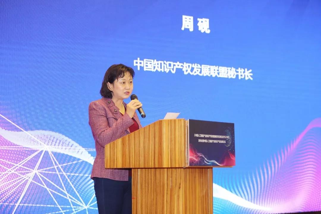 《中国人工智能产业知识产权和数据相关权利白皮书2018》全文发布