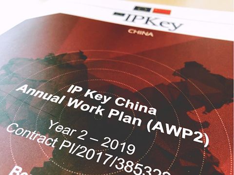 IP Key中国项目2019年度工作计划公布！