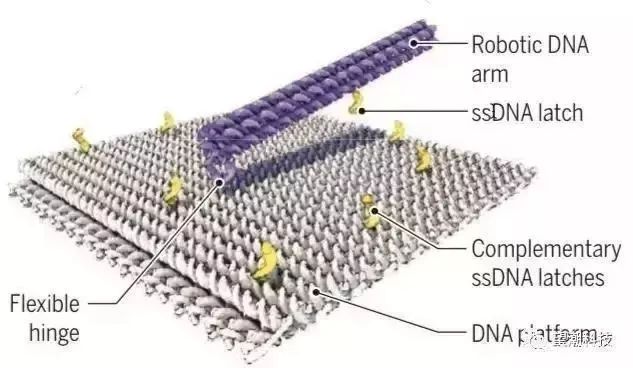2018年度10大机器人公布！人造肌肉、DNA折叠、柔性外骨骼...