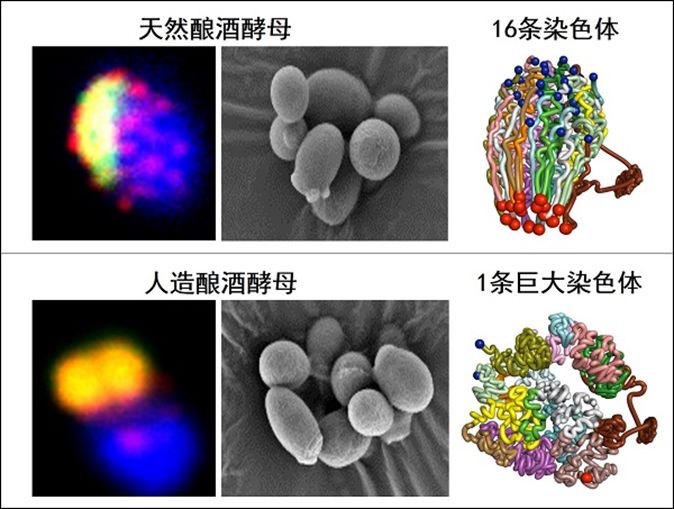 回顾：2018年全球科技的78项重要进展和事件