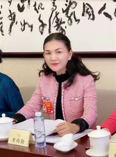 全国政协委员黄西勤：将保护知识产权确立为基本国策