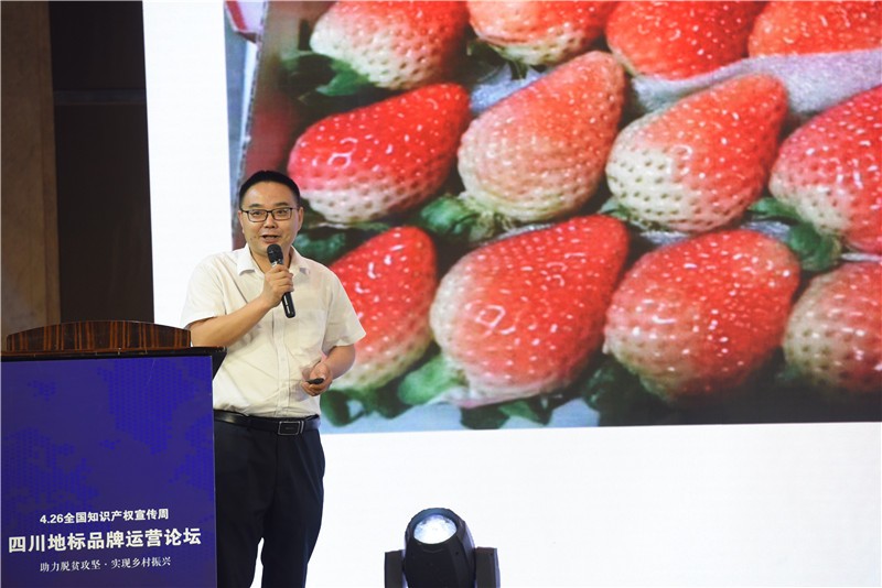 “助力脱贫攻坚·实现乡村振兴” ——四川地标品牌运营论坛在成都举行