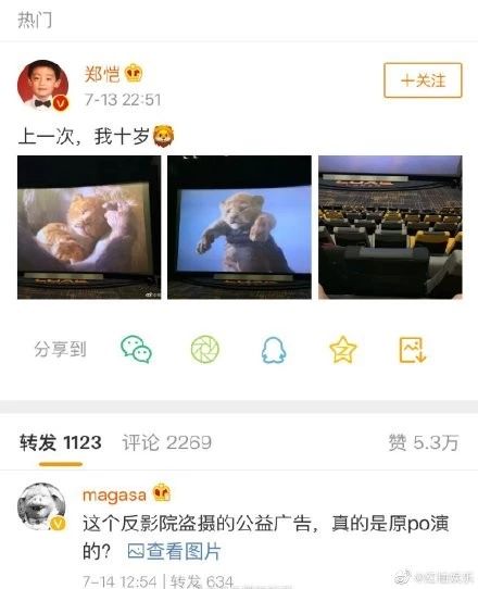 郑恺拍《狮子王》发微博引争议？文明观影不盗摄
