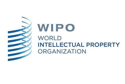 #晨报#WIPO 仲裁与调解中心成为中国国家顶级域名争议解决机构（自2019.8.1日起）