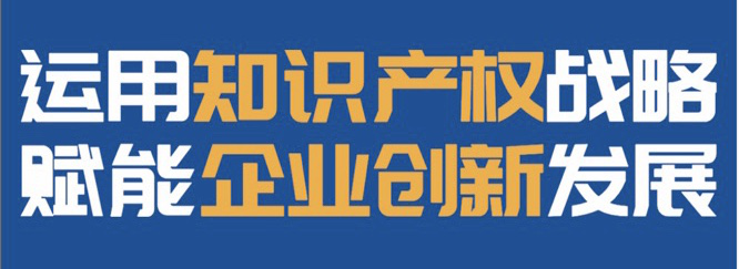 第十届中国知识产权年会 “运用知识产权战略.赋能企业创新发展”论坛成功举办