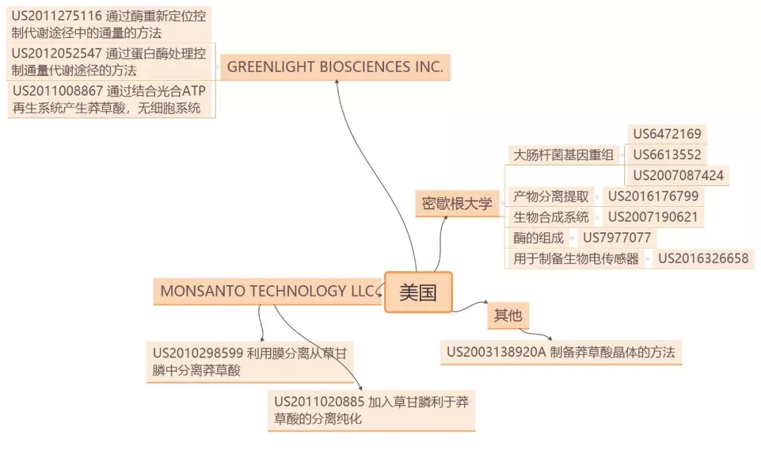 抗流感神器源起茴香八角？？？