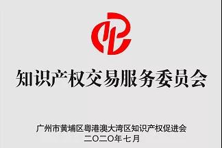 粤港澳大湾区知识产权促进会专业工作委员会介绍及入会流程