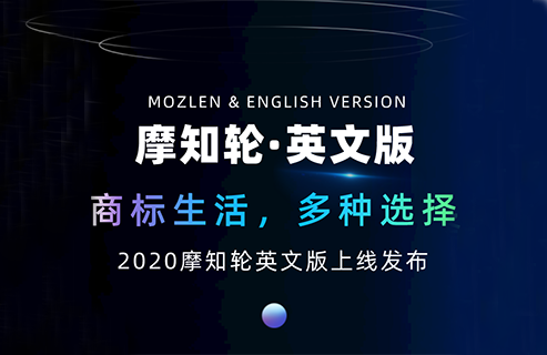 摩知轮英文查询界面上线！涉外机构看过来！