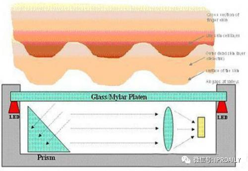 细分领域的专利代理-浅谈光电显示指纹识别技术