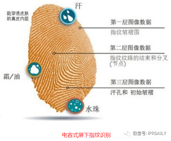 细分领域的专利代理-浅谈光电显示指纹识别技术