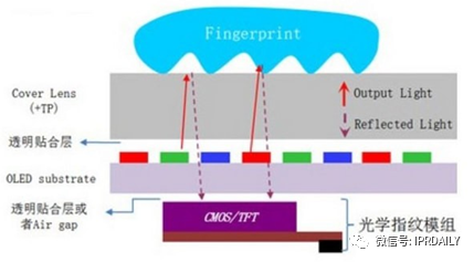 细分领域的专利代理-浅谈光电显示指纹识别技术
