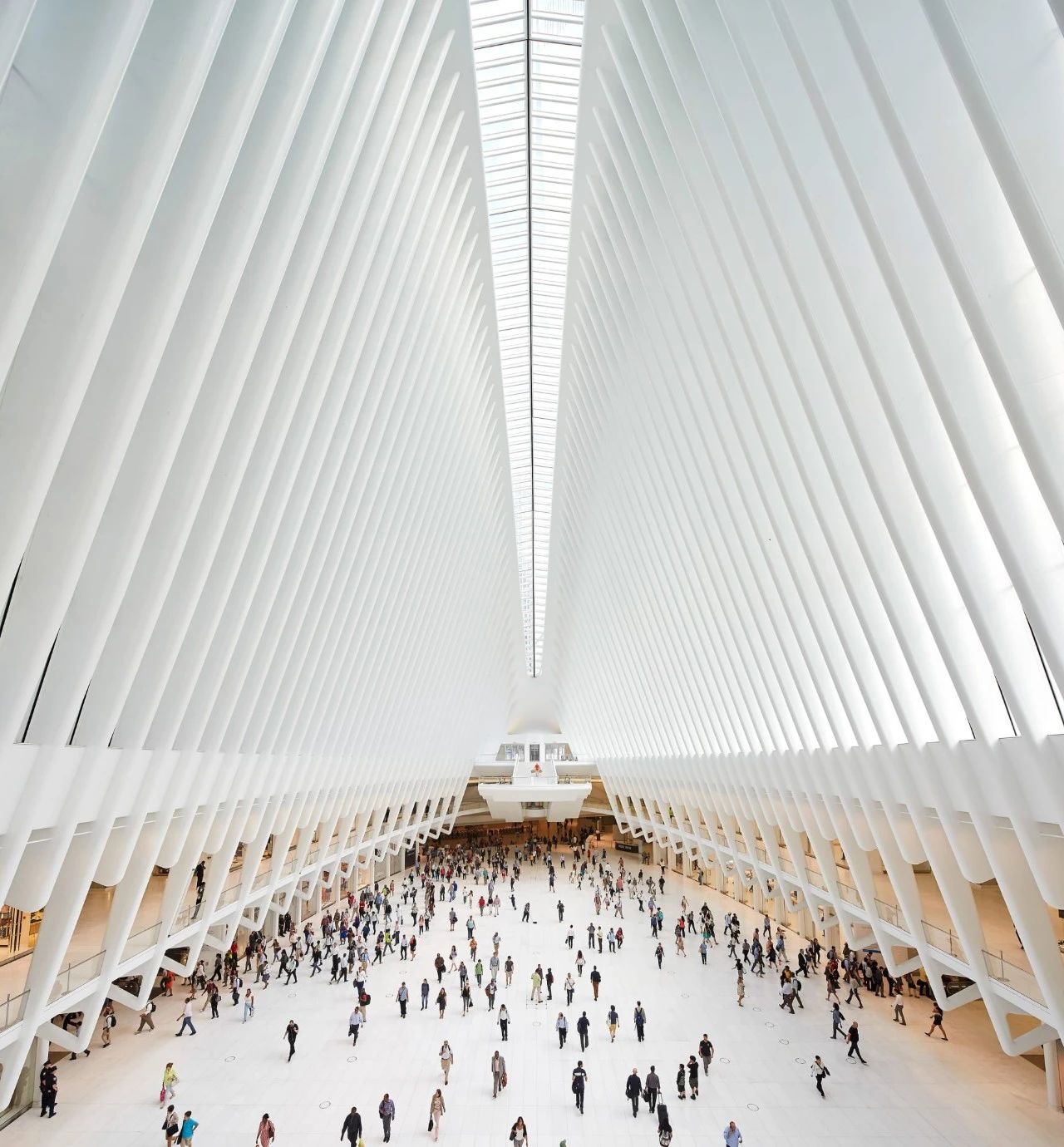 Santiago Calatrava ：自然设计建筑大师