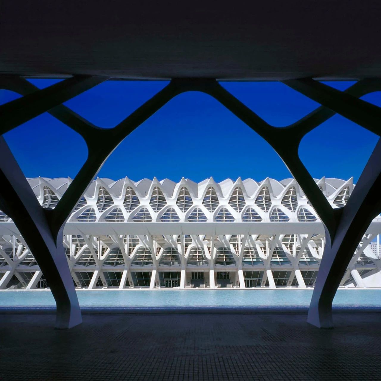 Santiago Calatrava ：自然设计建筑大师