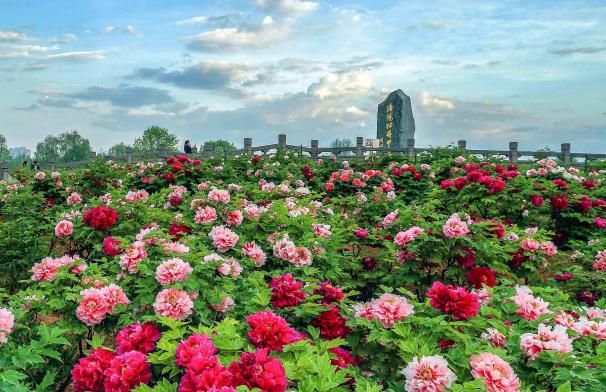 国庆地标游：七天乐游天下，河南地标带你吃喝玩乐！