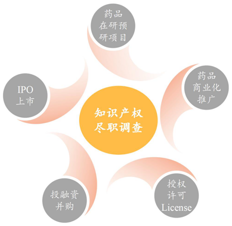 生物医药技术许可交易License-in/out中的考量要点之知识产权尽职调查